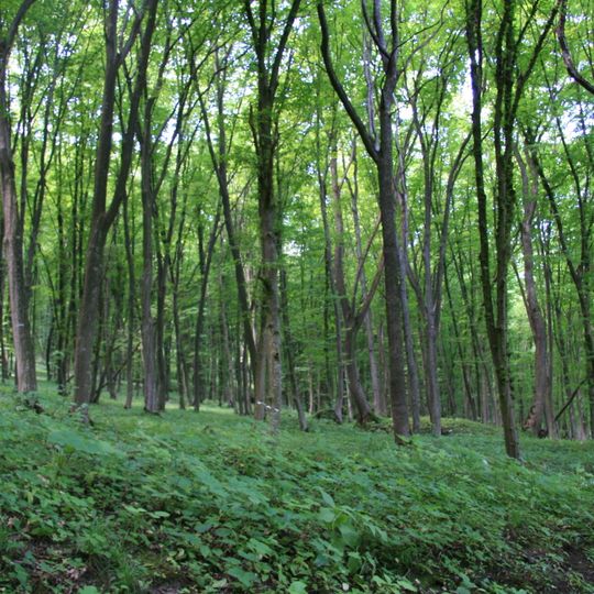 Karmaliukova Mountain