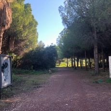 Akdeniz Üniveristesi Botanik Parkı
