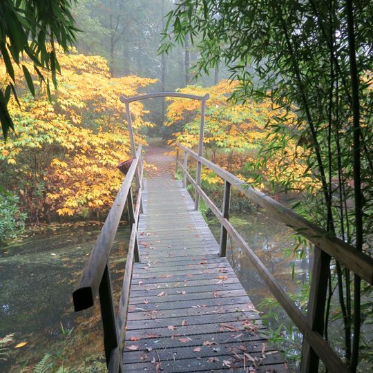 De Wiersse: eenvoudige houten loopbrug in Japanse stijl