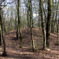 Hügelgräberfeld Bauernwald II