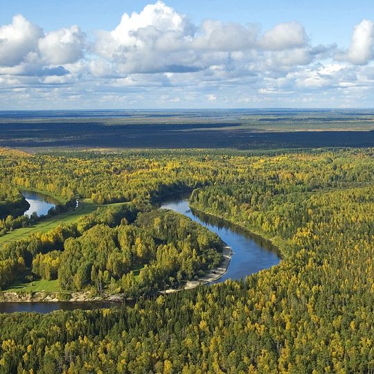 Vasyugan Swamp