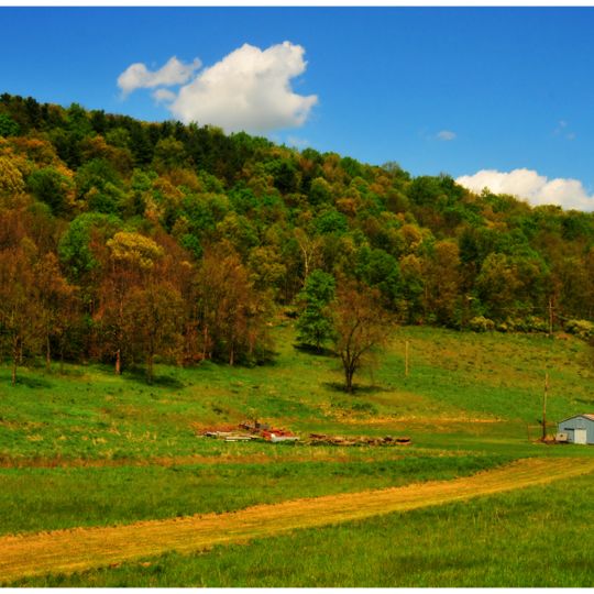 Tunkhannock Township