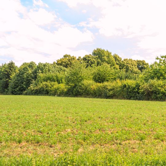 Polní opevnění u obce Orel