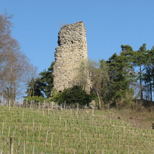 Burg Grimmenstein
