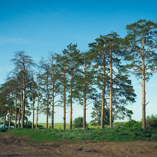 Pervomaysky District, Orenburg Oblast