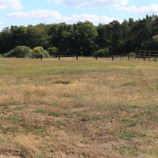 Untere Allerniederung bei Boye