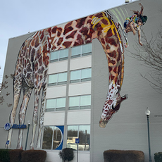 Girl skateboarding down the neck of a giraffe. This five-story high giraffe was painted with just two paintbrushes.  Commissioned by John Blick, owner of The Blick Building. The artist's inspiration came from "Love over Fear.'