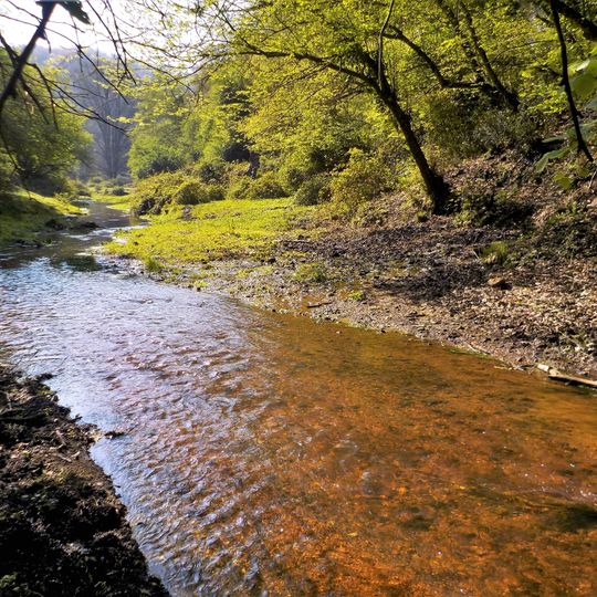 Valle del Cremera - Zona del Sorbo