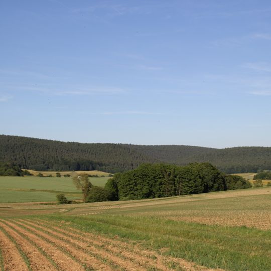 Huckelheimer Wald