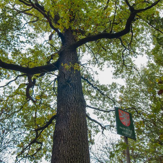 Lesná u Nového Kostela