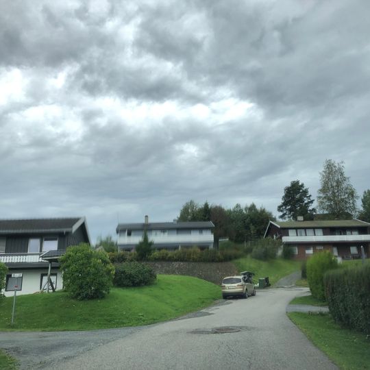 Jens Lange Lyches vei