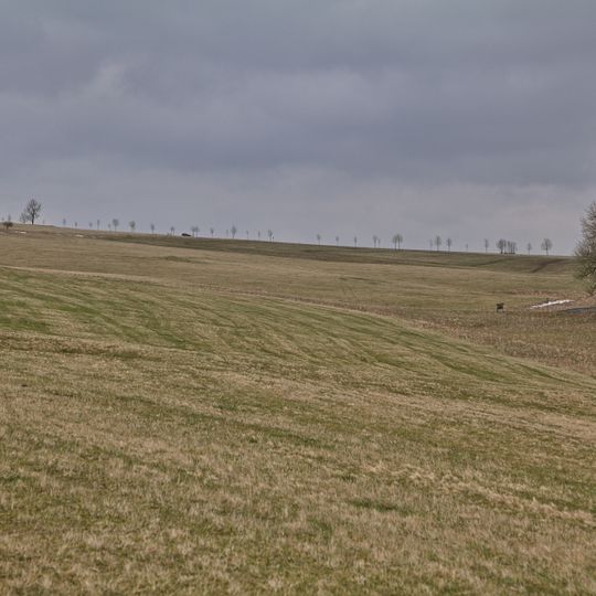 Bergwiesen bei Königshütte