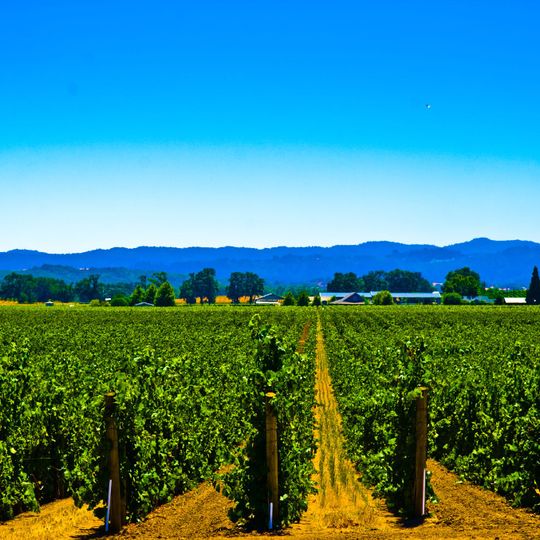 Alexander Valley AVA