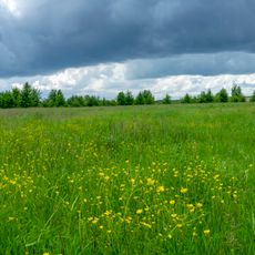 Mykhnivskyi Ornithological Reserve