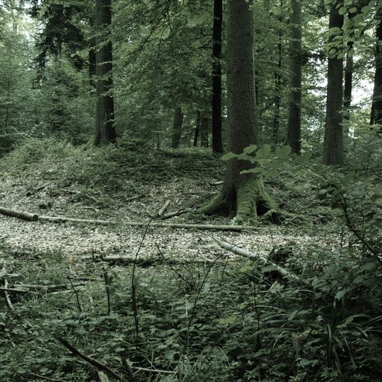 Bärhau, iron age tumulus group