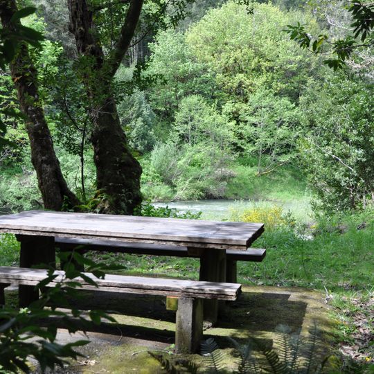 Coquille Myrtle Grove State Natural Site