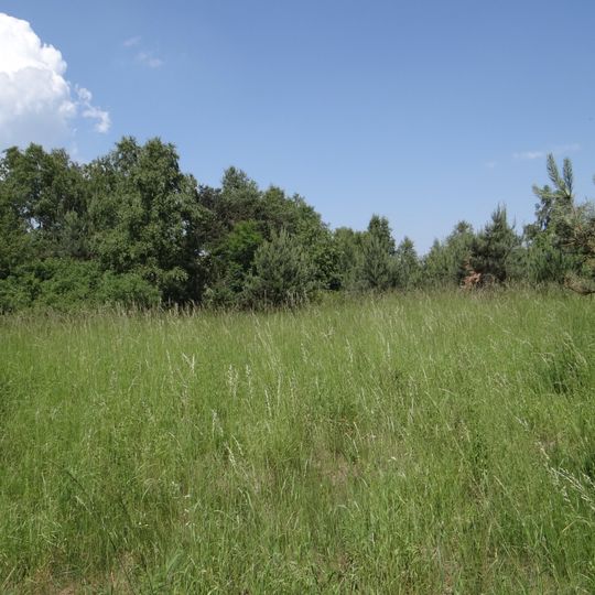 Rezerwat przyrody Ruskie Góry