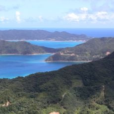 Amami-Ōshima Island, Tokunoshima Island, northern part of Okinawa Island, and Iriomote Island