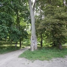 Dwór, Stefana Batorego 10 w Pszczewie