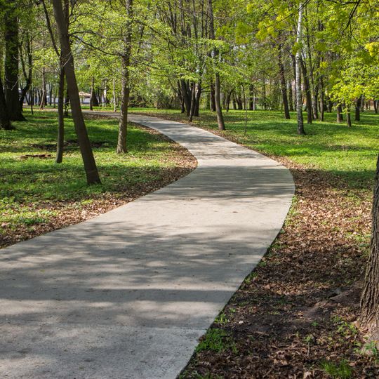 Ahlebinovskaya grove