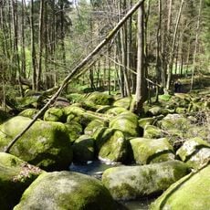 Blockmeer im NSG "Hölle" NW von Postfelden