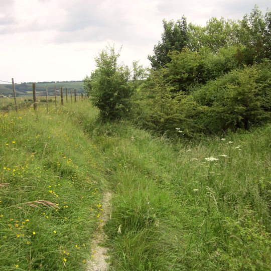 Cross dyke, 200m south east of Hosedon Linn
