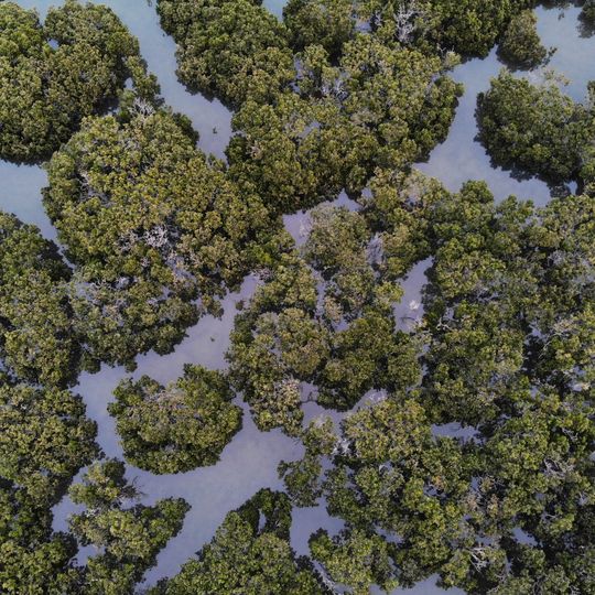 North Western Port Nature Conservation Reserve