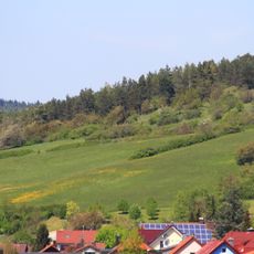 Halbtrockenrasen Geinhartshöhe Geinhartsberg