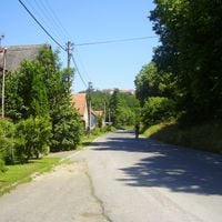 Velká Lečice