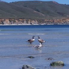 Wreck Beach