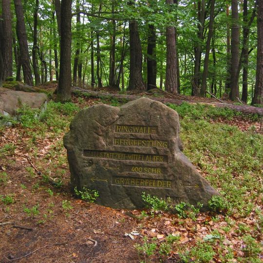 Ritterstein 252 "Ringwall-Bergfestung"