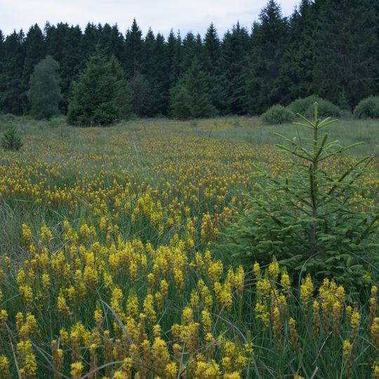 Vallée de la Holzwarche