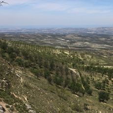 Paisaje oleícola de Sierra Mágina