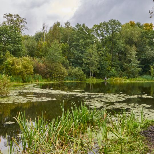 Парк с системой прудов