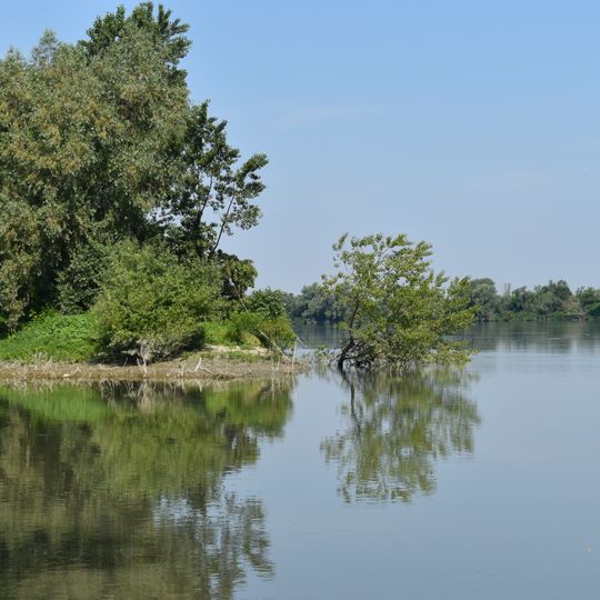 Fiume Po da Stellata a Mesola e Cavo Napoleonico