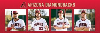 Arizona Diamondbacks Profile Cover