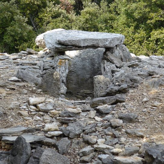 Dolmens n° 5 du Bois des Géantes