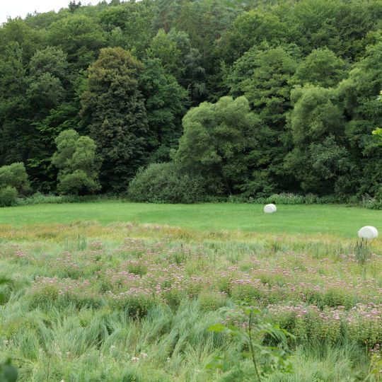 Dattenberg u. Wald westl. Glashütten mit Silber- u. Dattenbachtal
