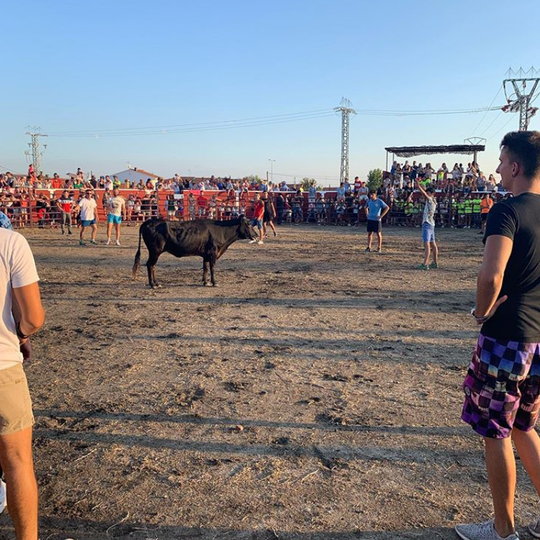 Plaza de toros de Rosalejo