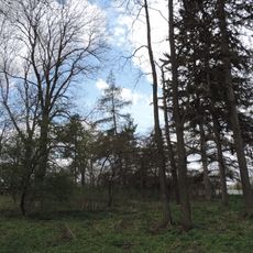 Парк «Зарічненський»