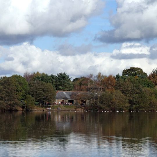 Gnoll Park Fish Pond