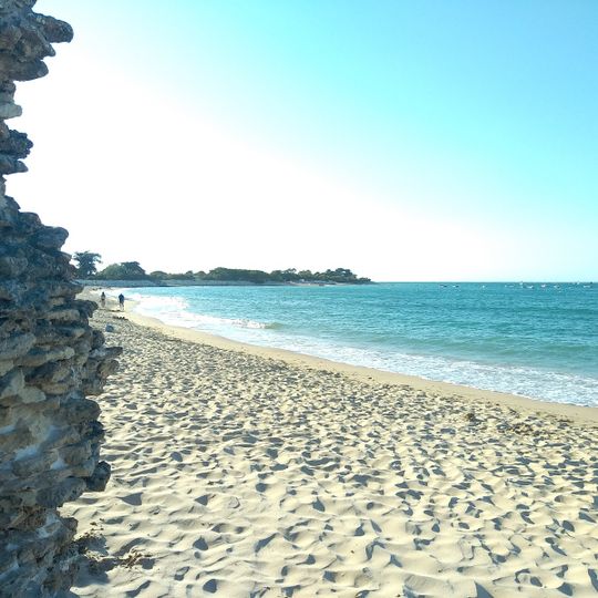 Plage de la Conche des Baleines