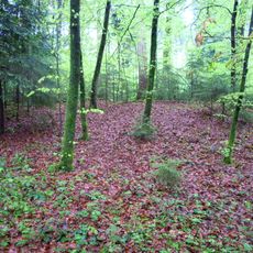 Grabhügel Volketswil