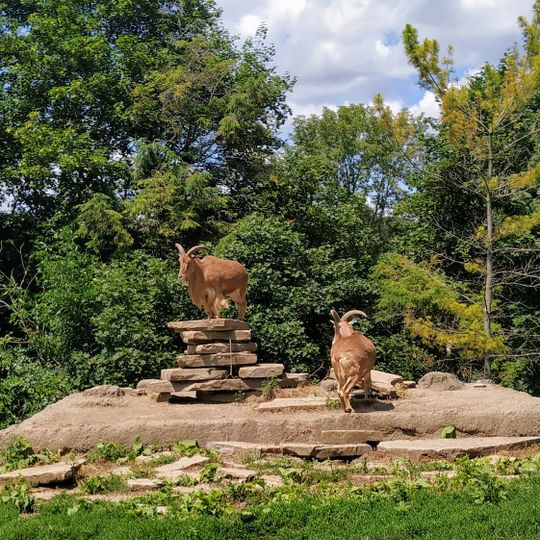 Riverview Park & Zoo