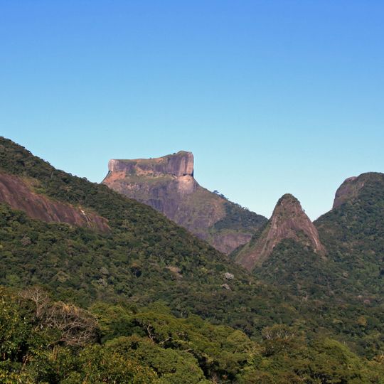 Tijuca Forest