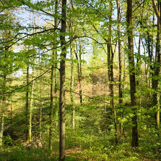 Chämleten, Burgstall, Burghügel mit mächtigem Halsgraben