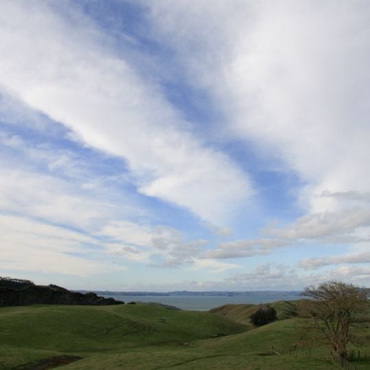 Te Rau Pūriri Regional Park