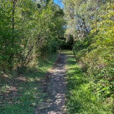 Bellbird Walking Track