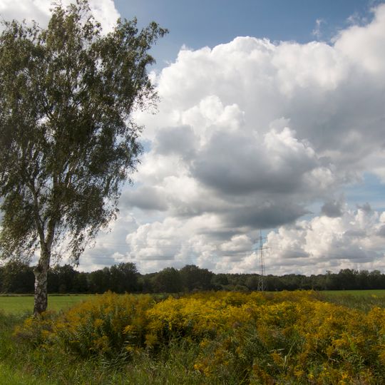 Landschaftsschutzgebiet Nauen-Brieselang-Krämer