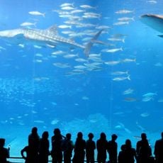 Okinawa Commemorative National Government Park